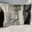 画像3: ▲買取品▲ BAUHAUS '83 ジャパンツアーパンフレット (3)