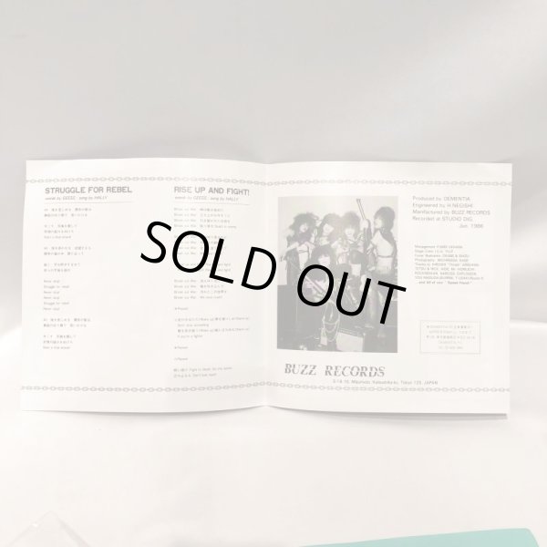 画像3: ▲買取品▲ DEMENTIA / STRUGGLE FOR REBEL / EPレコード (3)