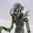 画像6: ▲買取品▲ NECA 7インチアクションフィギュア マンティス・エイリアン (6)