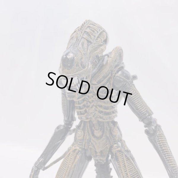 画像6: ▲買取品▲ NECA 7インチアクションフィギュア ブラウン・エイリアンウォーリアー (6)
