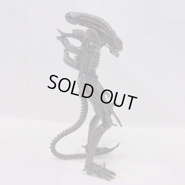 画像4: ▲買取品▲ NECA 7インチアクションフィギュア ブラウン・エイリアンウォーリアー (4)