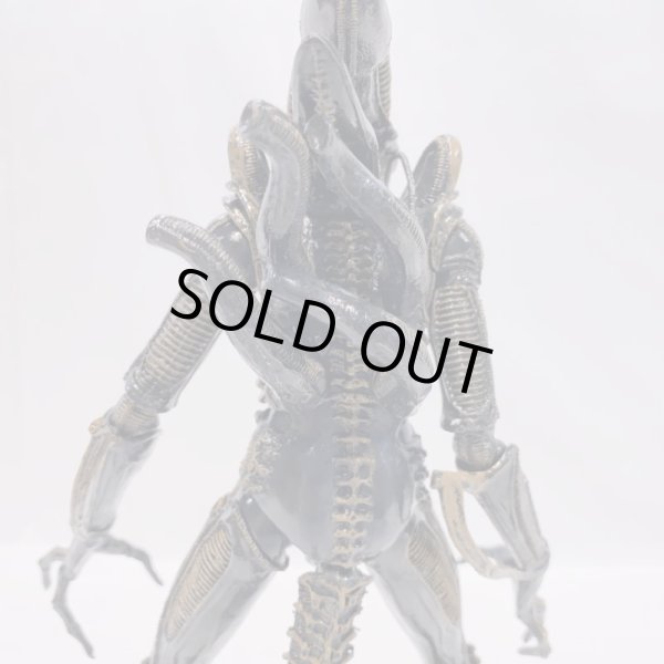 画像7: ▲買取品▲ NECA 7インチアクションフィギュア ブラウン・エイリアンウォーリアー (7)