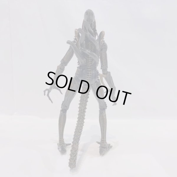画像5: ▲買取品▲ NECA 7インチアクションフィギュア ブラウン・エイリアンウォーリアー (5)