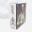 画像4: ▲買取品▲ 【開封】海洋堂 KT Project KT-006 タケヤ式自在置物 骸骨 着彩 (4)