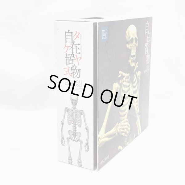 画像4: ▲買取品▲ 【開封】海洋堂 KT Project KT-006 タケヤ式自在置物 骸骨 着彩 (4)