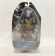 画像1: ▲買取品▲ 【未開封】NECA 7インチアクションフィギュア AVP ウォーリアー・プレデター (1)