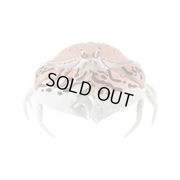 画像5: ▲新品▲ ガチャガチャ バンダイ だんごむし 06 全5種セット (5)