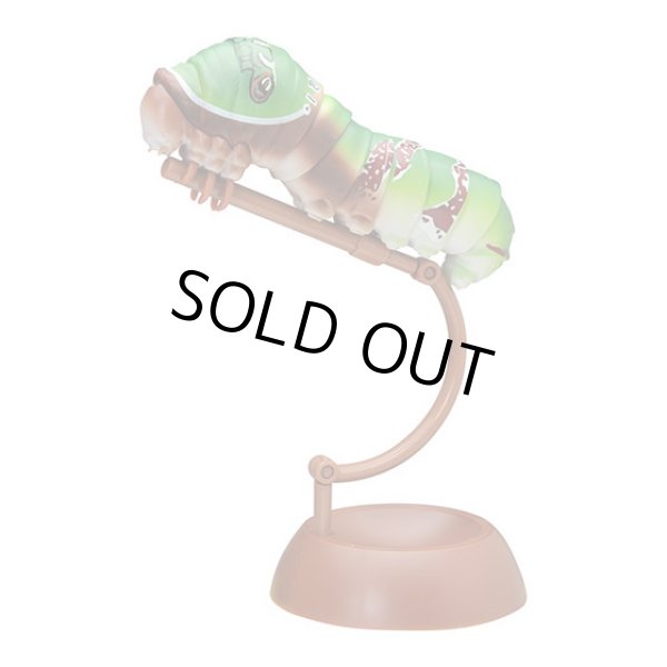 画像3: ▲新品▲ ガチャガチャ バンダイ いきもの大図鑑 いもむし(全3種セット) (3)