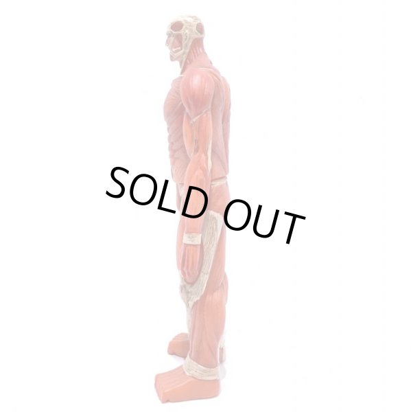 画像3: ▲買取品▲ フリュー 進撃の巨人 超大型巨人ムキムキソフビフィギュア (3)