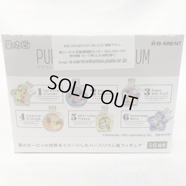 画像3: ▲新品▲ リーメント 星のカービィ PUPUPU HERBARIUM BOX商品 1BOX（6個入） (3)