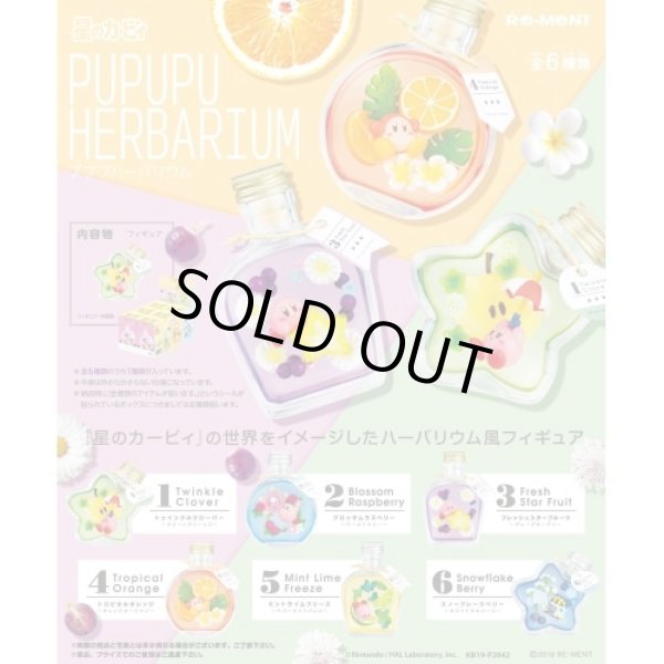 画像1: ▲新品▲ リーメント 星のカービィ PUPUPU HERBARIUM BOX商品 1BOX（6個入） (1)